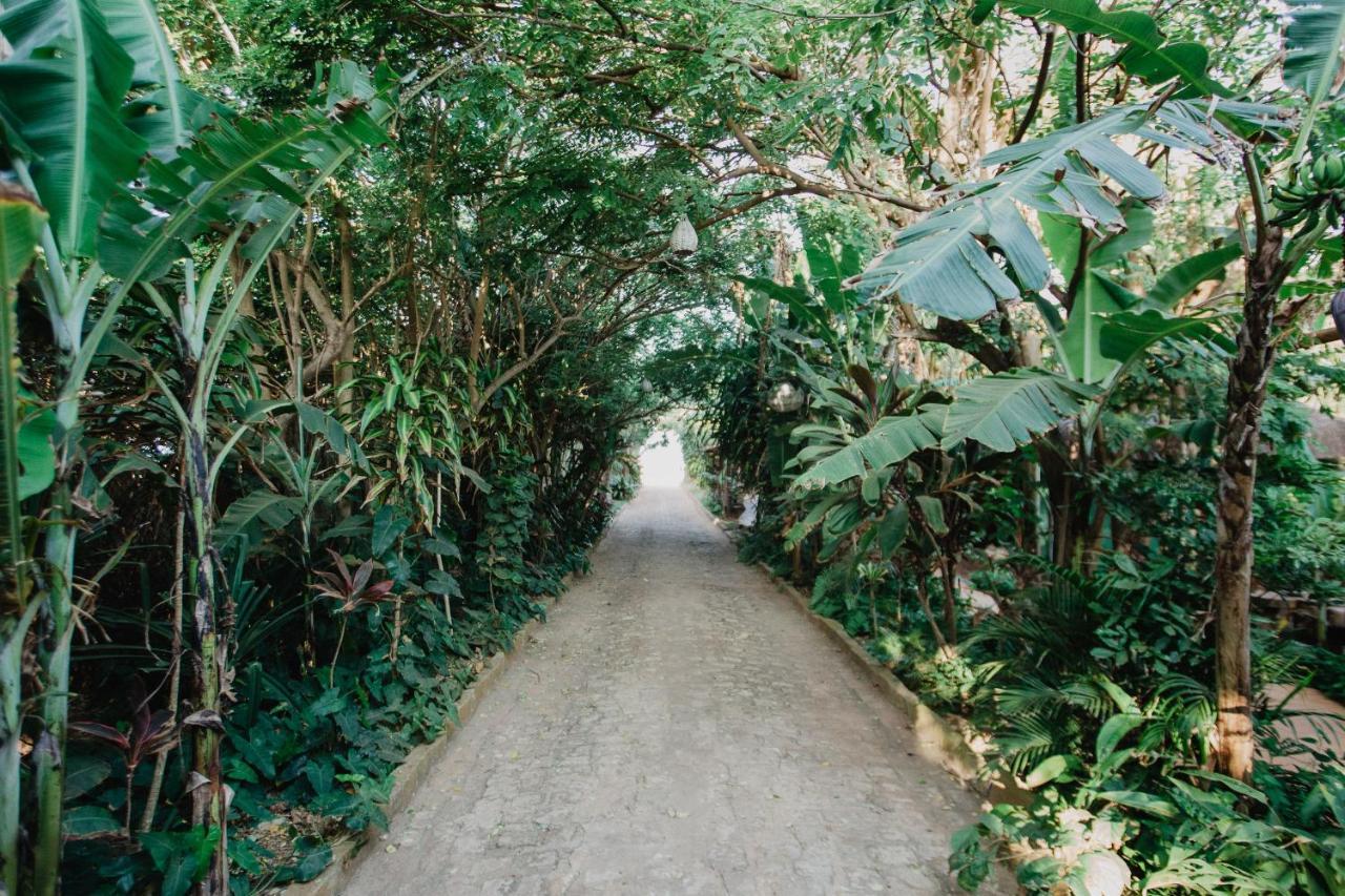Paua Hotel Boutique Praia de Pipa エクステリア 写真